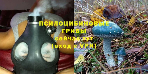 не бодяженный Абаза