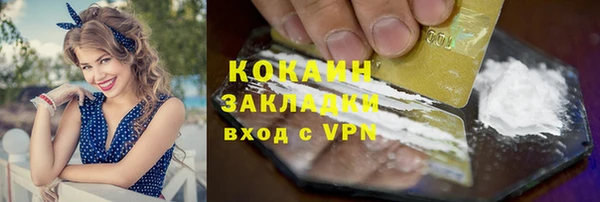 бошки Пересвет
