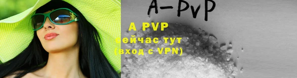 apvp Алексин