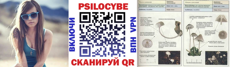 Галлюциногенные грибы GOLDEN TEACHER  наркошоп  Пугачёв 