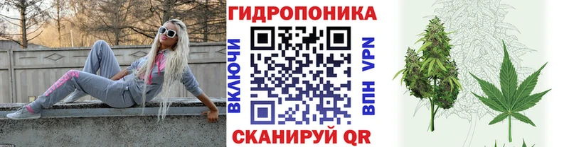 Бошки марихуана Bruce Banner Пугачёв